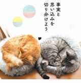 （出所：『そんなに怒らニャくてもいいんだよ ネコと学ぶ心が軽くなる方法』より）