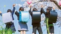 小学1年生は減少したがランドセル市場は堅調 ランドセルの平均価格は1.5倍で市場拡大に