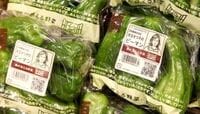 生産量が減っても､経済成長はできる 知ってるつもり!?読んでナットク 経済学｢キホンのき｣