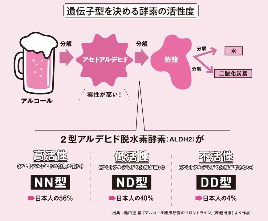 図：遺伝子型を決める酵素の活性度／出所：『肝臓から脂肪を落とす お酒と甘いものを一生楽しめる飲み方、食べ方』