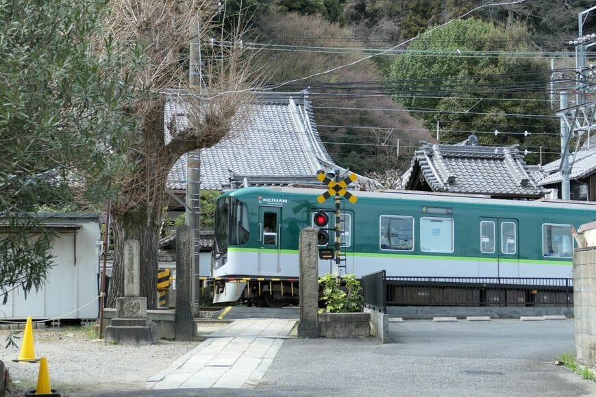 寺の参道を横切る（記者撮影）