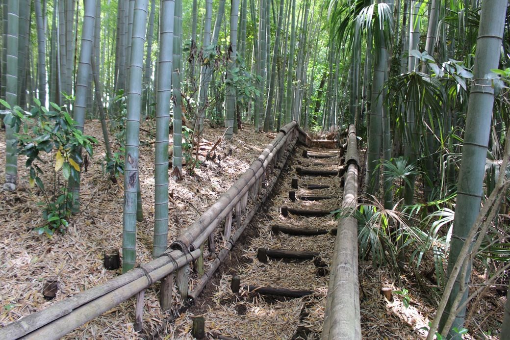 思っていたよりすごかった（筆者撮影）