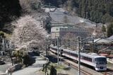 満開の桜と石灰石ホッパー施設を横目に走る10000系ニューレッドアローの特急「ちちぶ」（撮影：南正時）