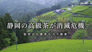 静岡の高級茶が消滅危機 販売店も農家も次々廃業