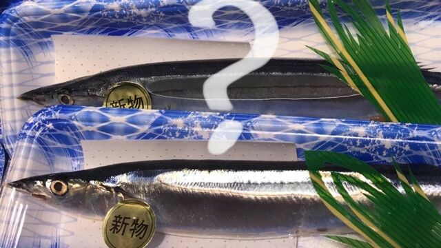 価値ないズワイガニ」まで獲る日本漁業の異様 深刻な水産資源の 価値ないズワイガニ」まで獲る日本漁業の異様 深刻な水産資源の