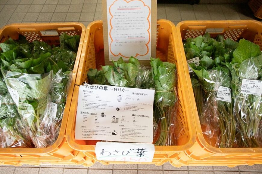 葉わさび一束450円。生産者がかごを背負って山に登り収穫しているという。3月から5月上旬にかけて並ぶ葉わさびは、毎年待ち望む人の多い人気商品だ。「旬の味を多くのお客様に楽しんでほしい」との思いで高齢の生産者が山奥にあるわさび田までかごを背負って収穫に行くのだという（筆者撮影）