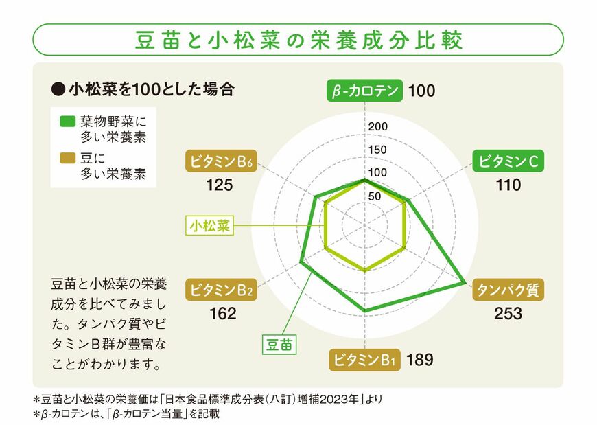 栄養成分比較