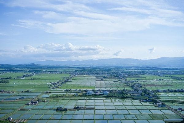 北海道東川町（写真：畠田大詩）
