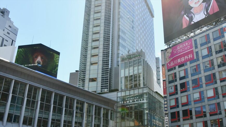 渋谷駅の駅ビル「渋谷マークシティ」。25階建てのホテル棟、23階建てのオフィス棟、2棟をつなぐ4階建てのショッピングモールからなる（記者撮影）