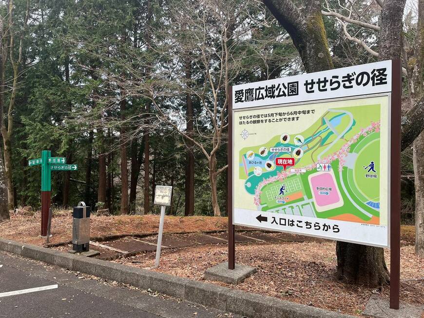 桜のロケ地