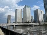 勝どき側から見える晴海のマンション群。あちらも近々訪れてみたい（筆者撮影）
