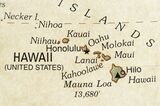 ハワイ諸島西部に位置するニイハウ島（写真：KeithBinns/iStock）