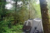 うっそうとした温帯雨林の中でのキャンピング体験は、非日常感たっぷり。アメリカでは個々のテントサイトが木々に囲まれ、プライバシーが確保できるキャンプ場が人気（写真：筆者提供）