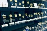 目黒寄生虫館1階の様子。フィラリアの標本は2階に展示されている（写真：目黒寄生虫館提供）