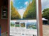 神宮外苑が、「どのように」未来につながっていくのかが問われている（記者撮影）