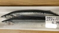 サンマ漁獲枠を削減でも｢獲り放題｣の残念な実態 魚が減っていく本当の理由が知られていない