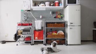 25m²激狭ハウスに住んで知った｢終の棲家｣の条件