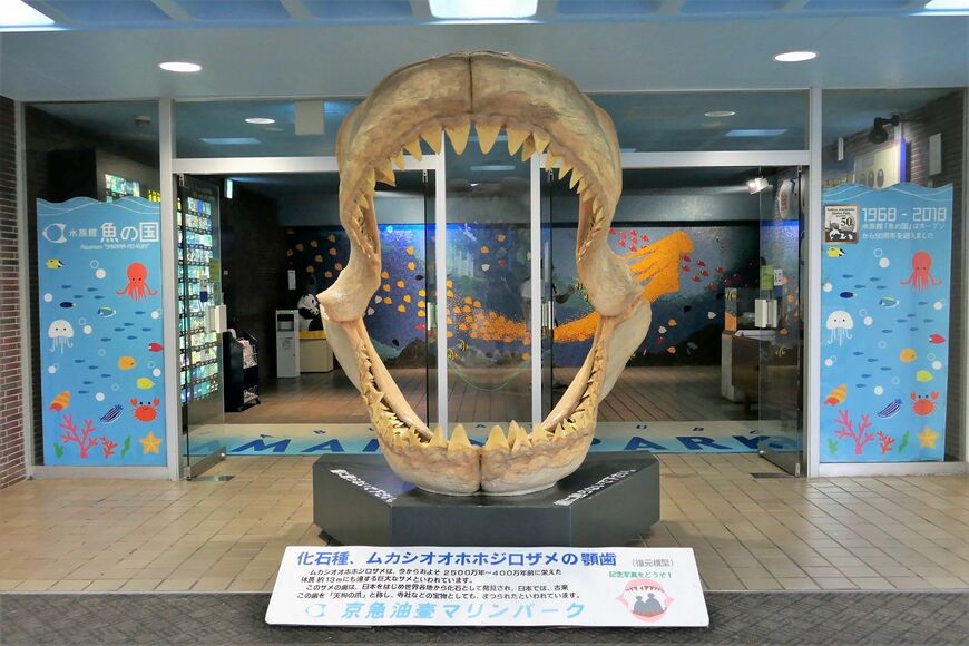 魚の国のエントランス（記者撮影）