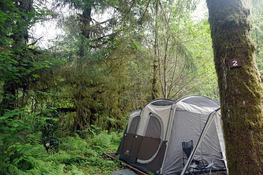 うっそうとした温帯雨林の中でのキャンピング体験は、非日常感たっぷり。アメリカでは個々のテントサイトが木々に囲まれ、プライバシーが確保できるキャンプ場が人気（写真：筆者提供）