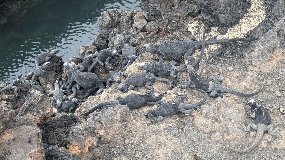ティントレーラス島