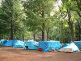 丸山氏が調査した東京都内の公園の様子。約300のテントがあった。撮影は2005年（写真提供：丸山里美氏）