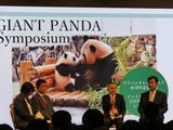 「ジャイアントパンダ日中共同繁殖研究シンポジウム」で質問に答える登壇者。右から2人目の赤とパンダのネクタイの男性が張志和博士。2019年3月9日（筆者撮影）