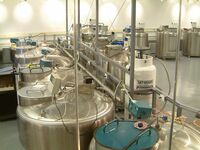 ハーバード生の卵子は300万､卵子売買の今 卵子と精子はこう売買される