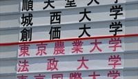 箱根駅伝予選、通過と敗退「涙の分岐点」
