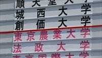 箱根駅伝予選、通過と敗退「涙の分岐点」