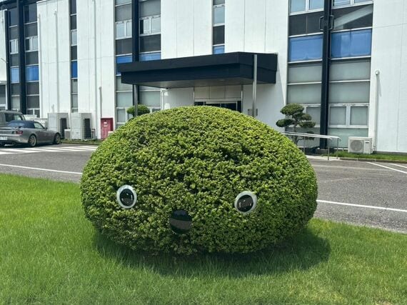 見学の途中でNICOBOとの記念撮影も楽しめる(写真:筆者撮影)