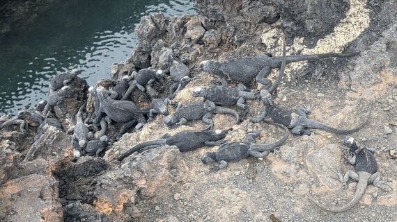 ティントレーラス島