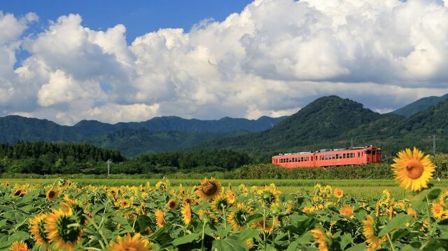 女性の不安 どう解決 鉄道旅を楽しむヒント 旅 趣味 東洋経済オンライン 経済ニュースの新基準 女性の不安 どう解決 鉄道旅を楽しむヒント 旅 趣味 東洋経済オンライン 経済ニュースの新基準