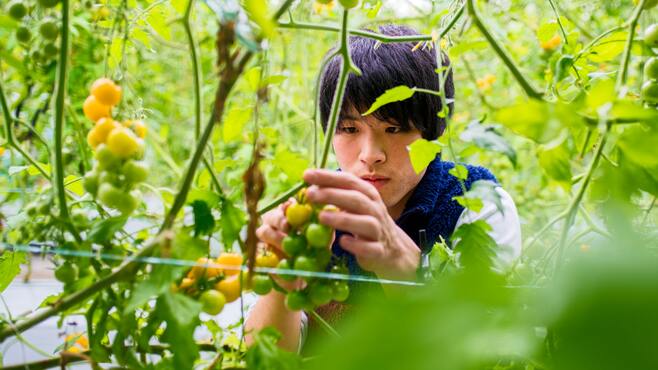 日本人が知らない｢植物ブリーダー｣の実態