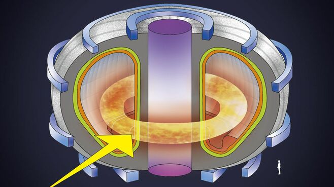 ビジュアルで理解！｢核融合発電｣を知る基本のキ