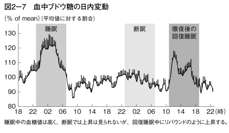 血中ブドウ糖の日内変動