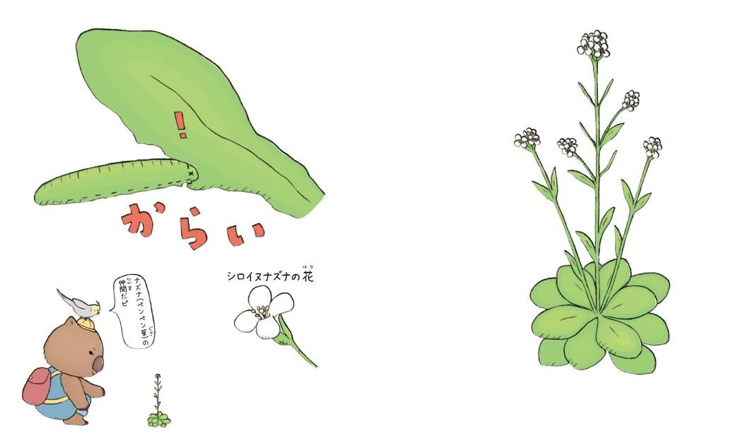 強烈にたくましい 8つの植物 のすごい生き様 読書 東洋経済オンライン 社会をよくする経済ニュース