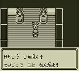 ポケモンのプレー画面3