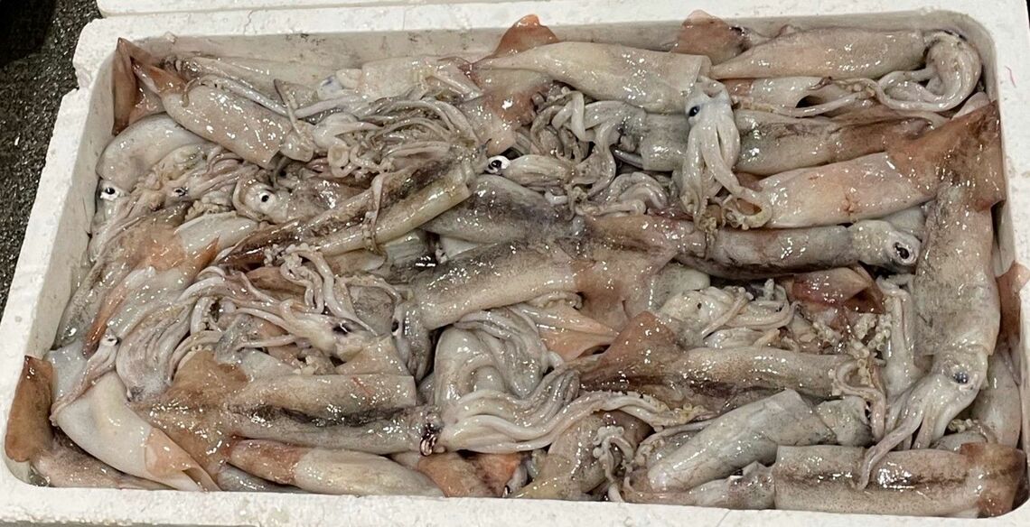 （写真：筆者提供）