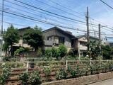 東京さくらトラム（都電荒川線）の「町屋駅前」付近の風景（筆者撮影）