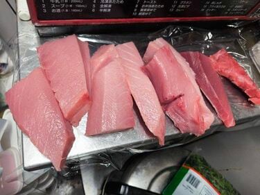 麻雀店なのに市場で仕入れた魚をさばき海鮮丼をつくる…｢料理がおいし