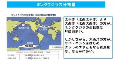 日本で魚が獲れない理由｣を知った小学生の驚愕 よくある大人の