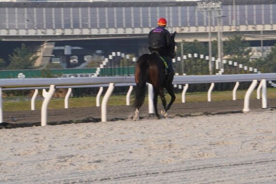 プラウドフレール スポーツ報知 競馬記者 志賀浩子