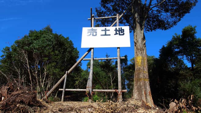 自然豊かな日本で｢山を手放したい人｣が多い理由