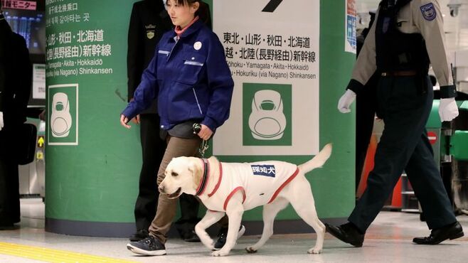 新幹線や駅のテロ対策､｢探知犬｣は役に立つ？