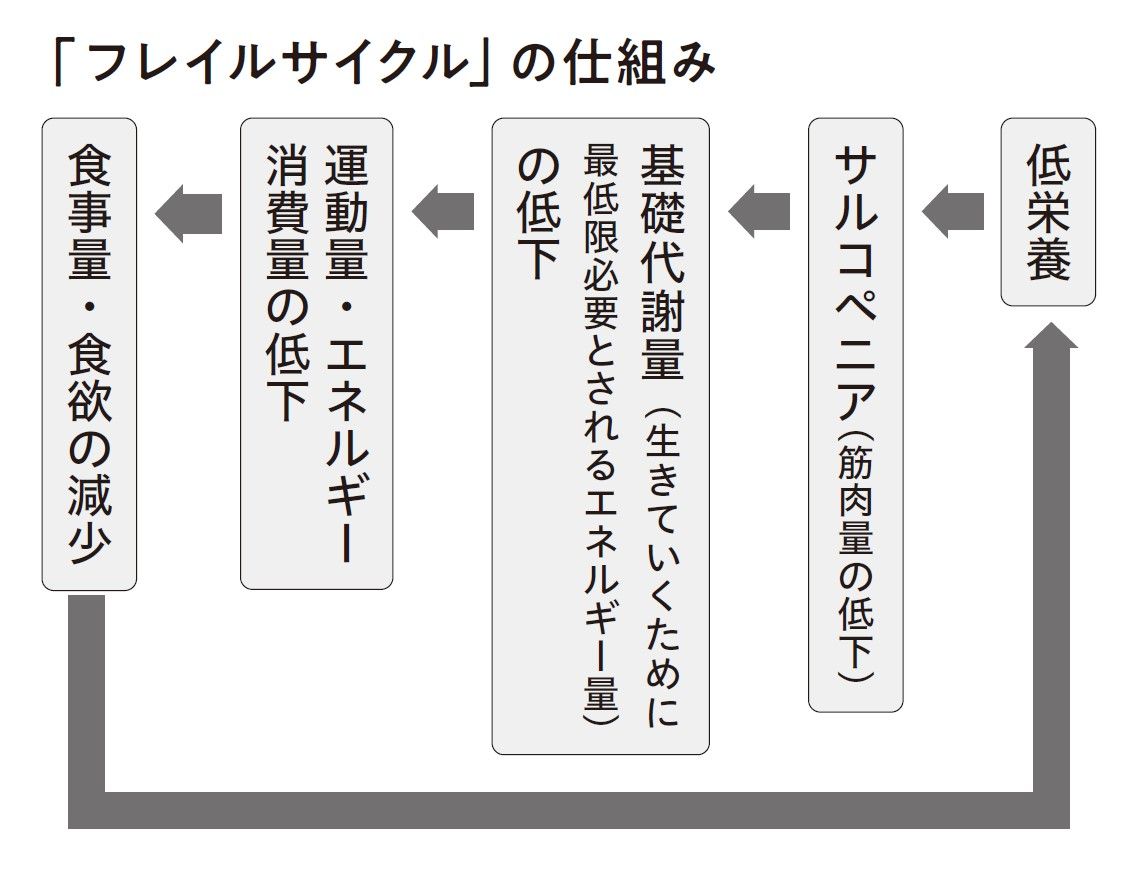 （出所：『脊柱管狭窄症の痛み・しびれリセット法』より）