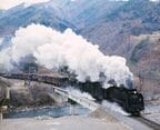 重連で中央西線を駆け抜ける