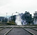 小樽築港機関区のD51形。寅さんが作中で追いかける