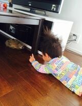お迎え当時まだ2歳だった長男に、困り顔のガルー（写真提供：ゲンさん）
