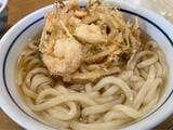 かき揚げうどん