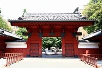 東大卒女性の結婚相手は、7割が東大卒？